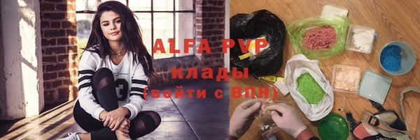 apvp Алзамай