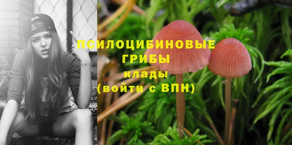 первитин Алексин