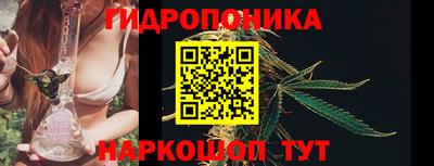 эйфоретик Пушкино