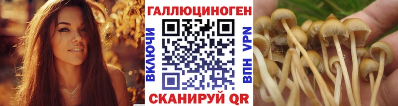 Псилоцибиновые грибы Magic Shrooms  купить наркотик  Рославль 