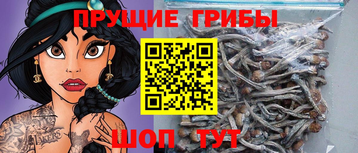 продажа наркотиков  Галлюциногенные грибы Psilocybine cubensis  Рославль  Вход с VPN  Псилоцибиновые грибы Psilocybine cubensis 